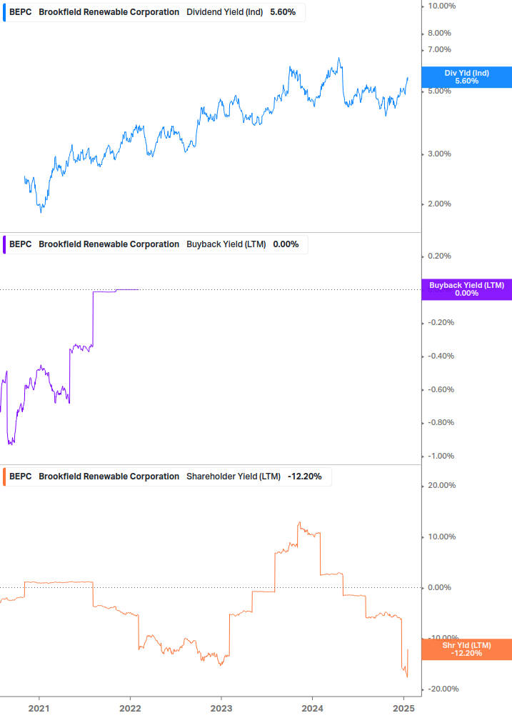 Shareholder Yield Chart